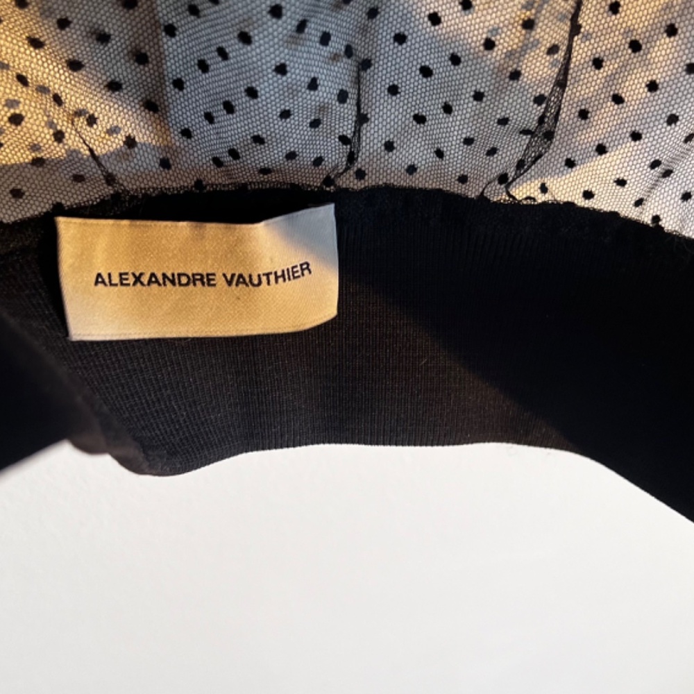 Alexandre Vauthier Designer - Picture 3 of 3